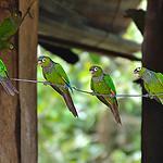фото