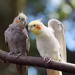 фото