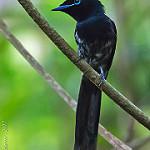 фото