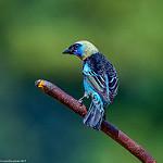 фото