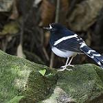 фото