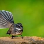 фото