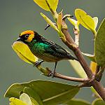 фото