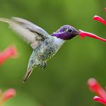 фото