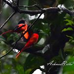 фото