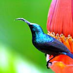 фото