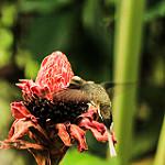 фото