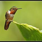 фото