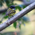 фото