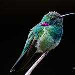 фото