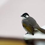 фото