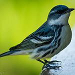 фото