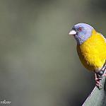 фото