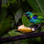 фото