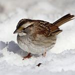 фото