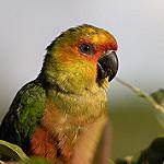 фото