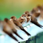 фото