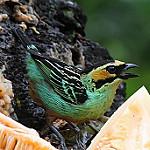 фото