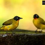 фото