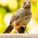фото
