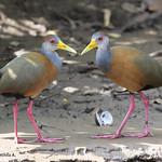 фото
