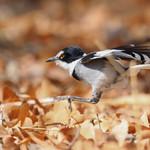фото