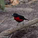 фото