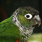 фото