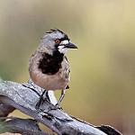 фото