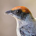 фото
