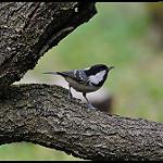 фото