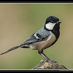 фото