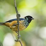 фото