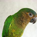 фото
