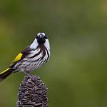 фото