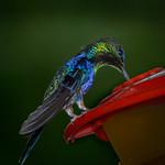 фото