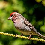 фото