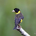 фото