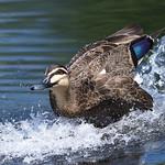 фото