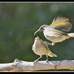 фото