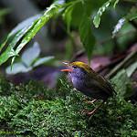 фото