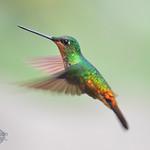 фото