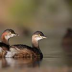 фото