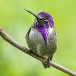 фото