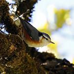 фото