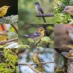 фото