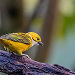 фото