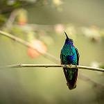 фото