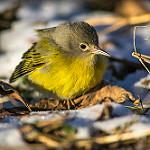 фото