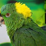 фото